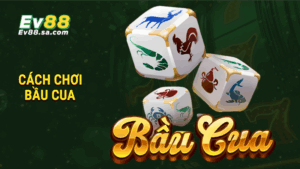 Cách chơi Bầu Cua