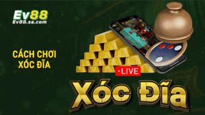 Cách chơi xóc đĩa